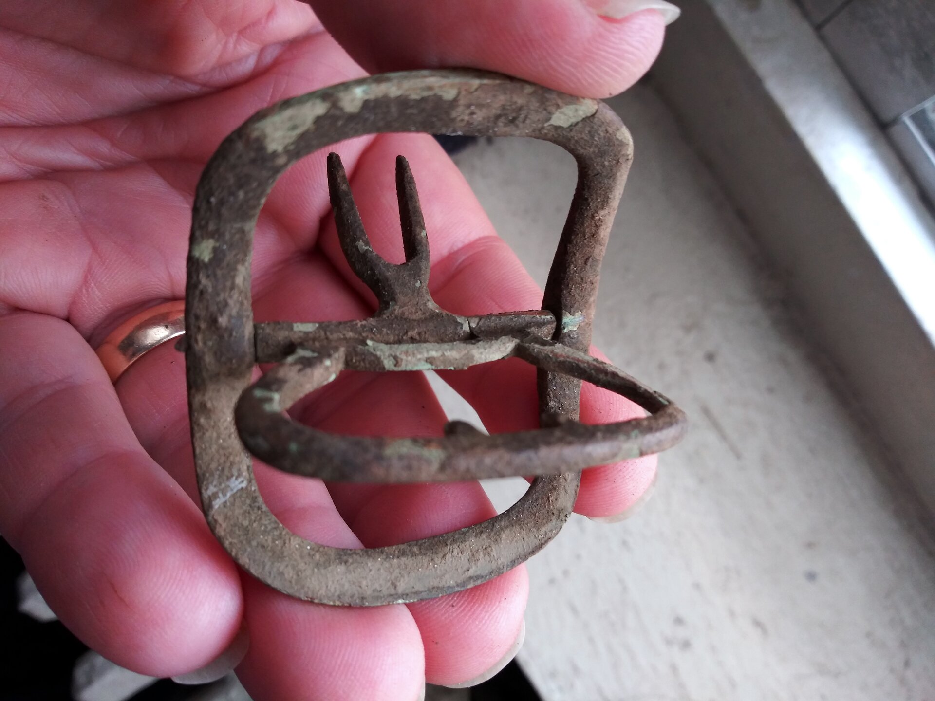 20201004_165431.jpg