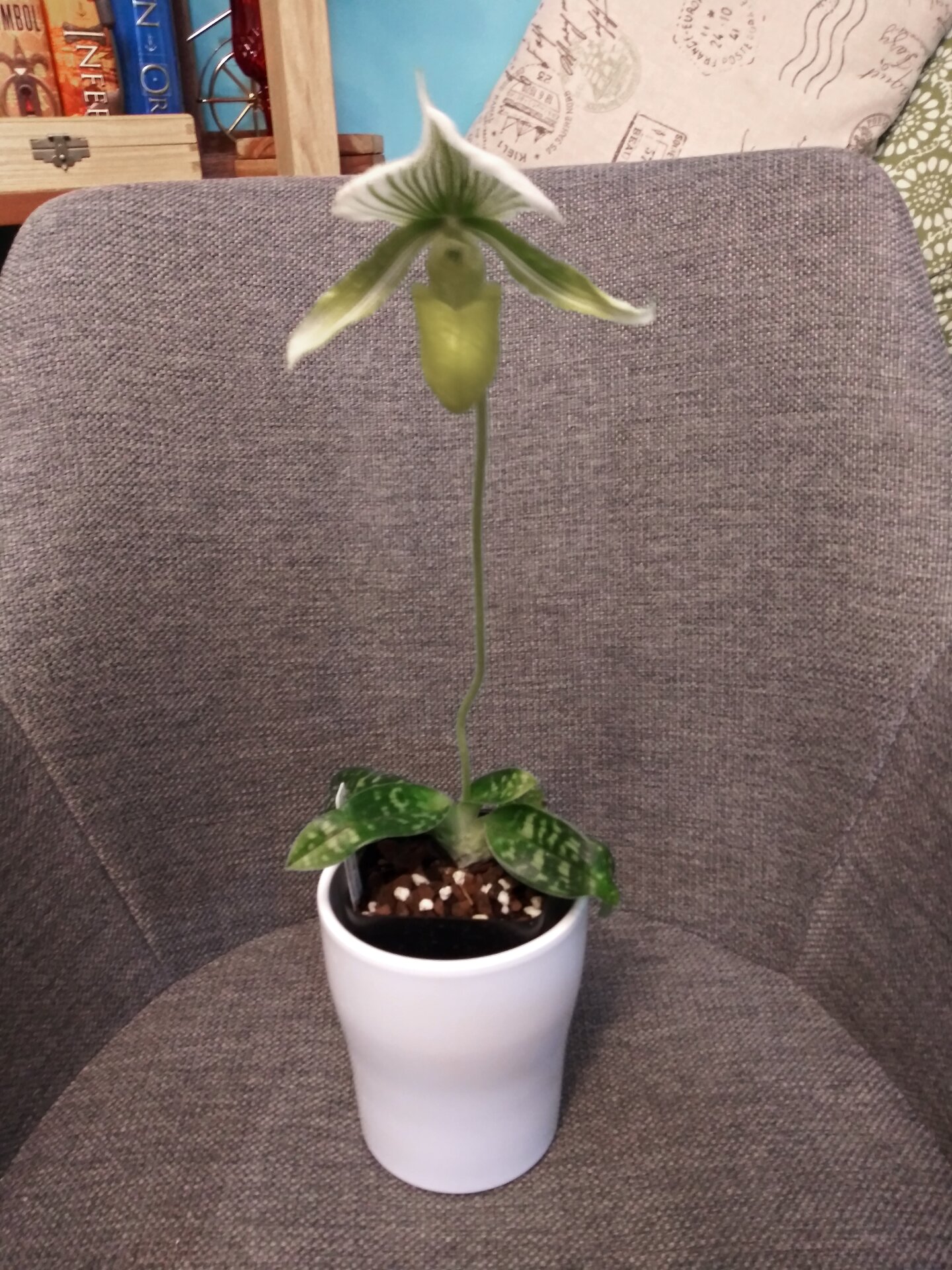 20201007_061226.jpg