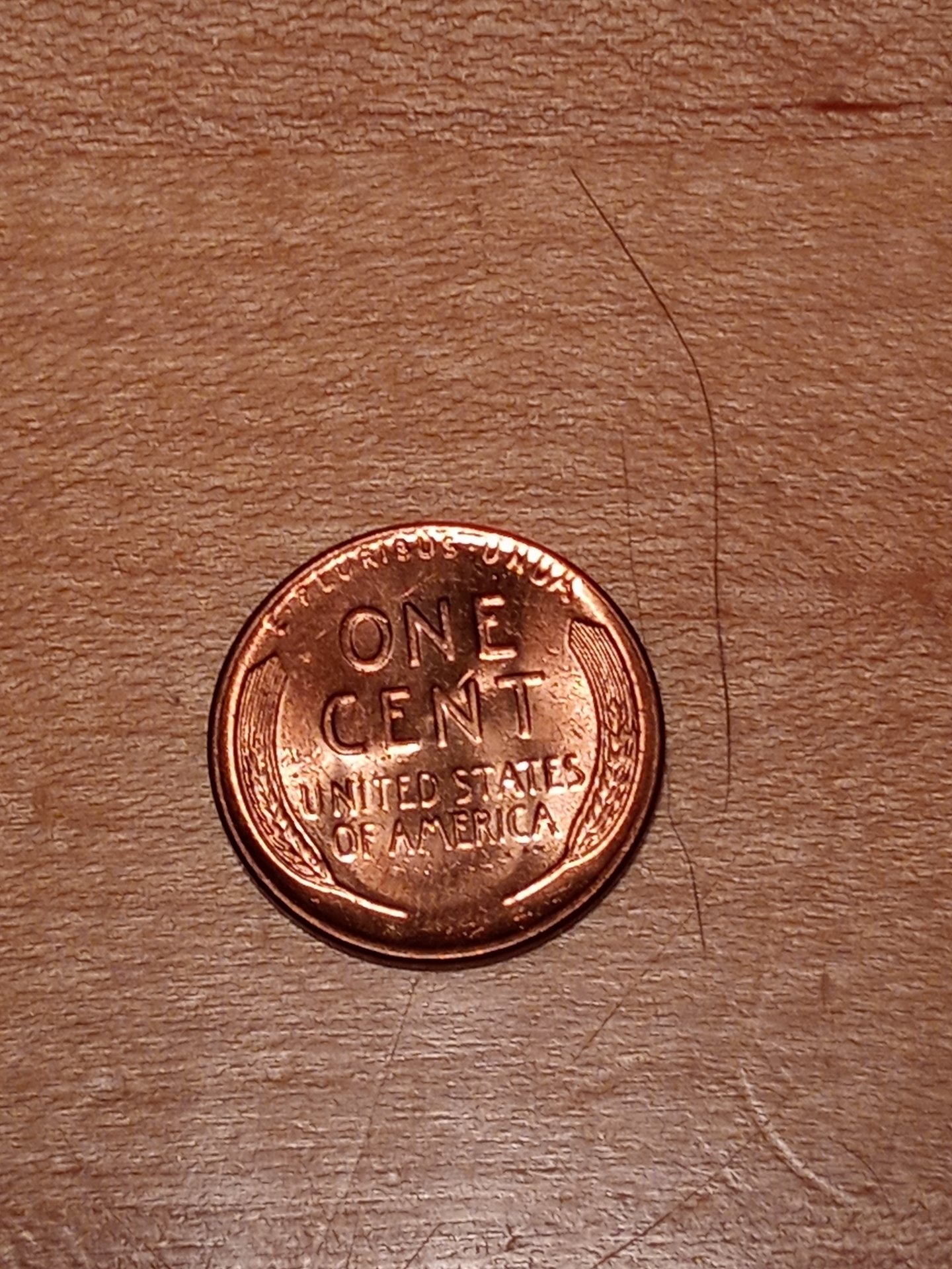 20201008_193220.jpg