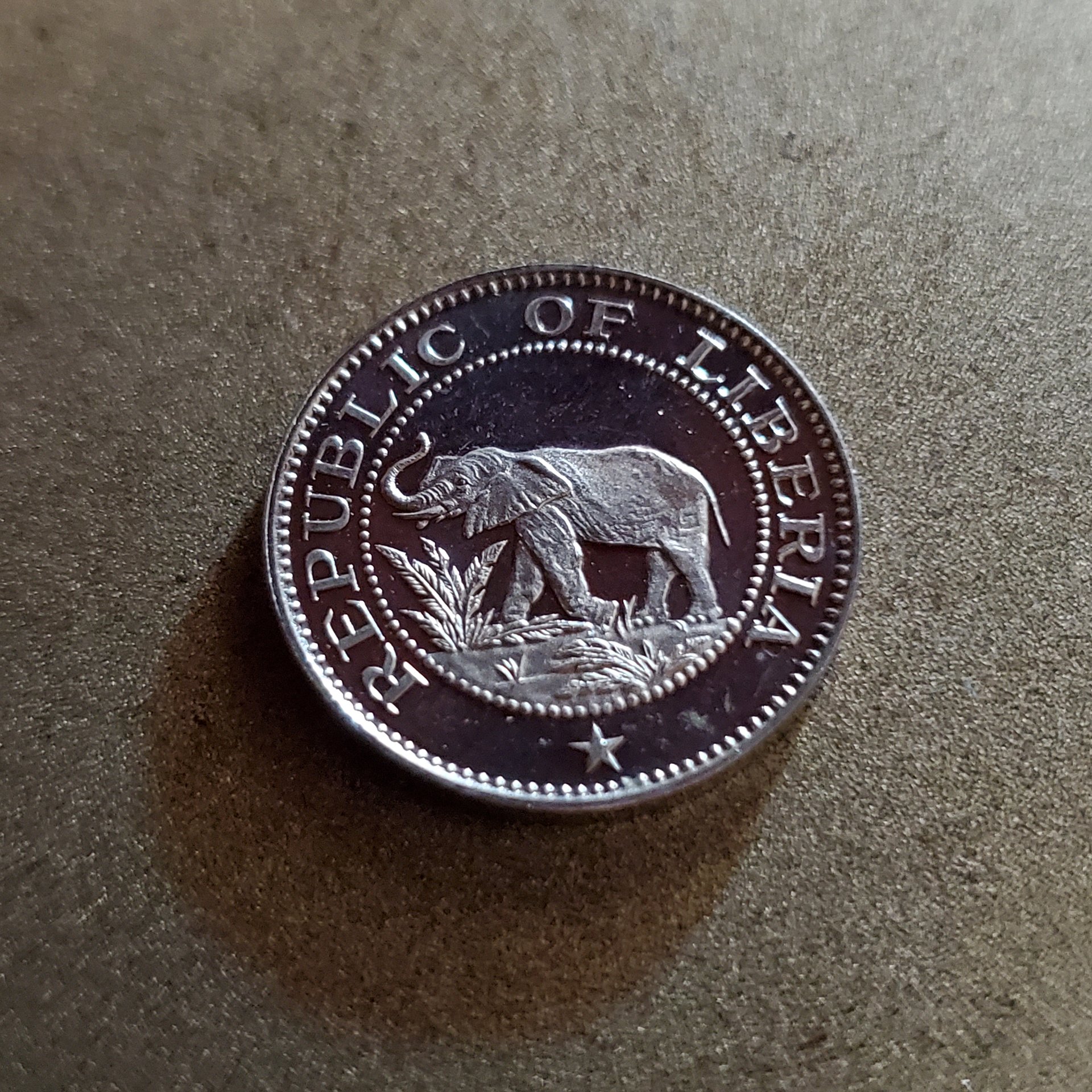 20201009_124958.jpg