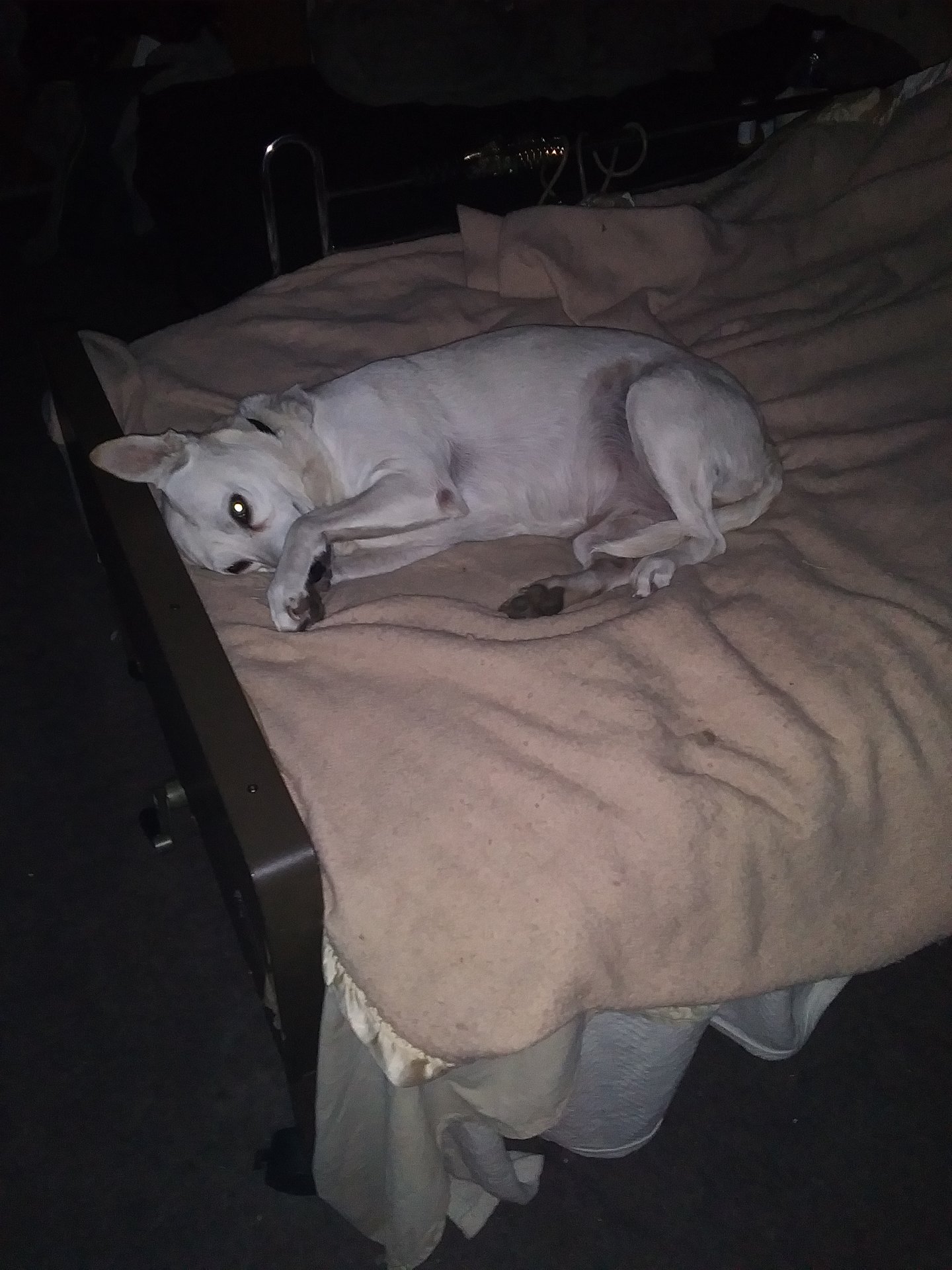 20201013_043025.jpg