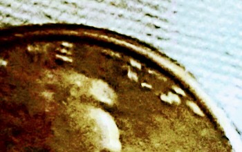 20201016_143344.jpg