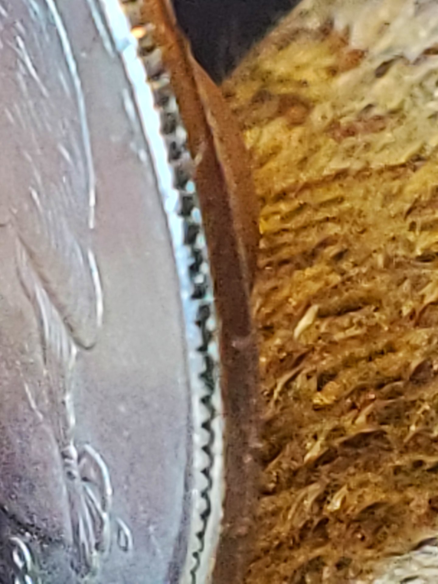 20201022_104430.jpg