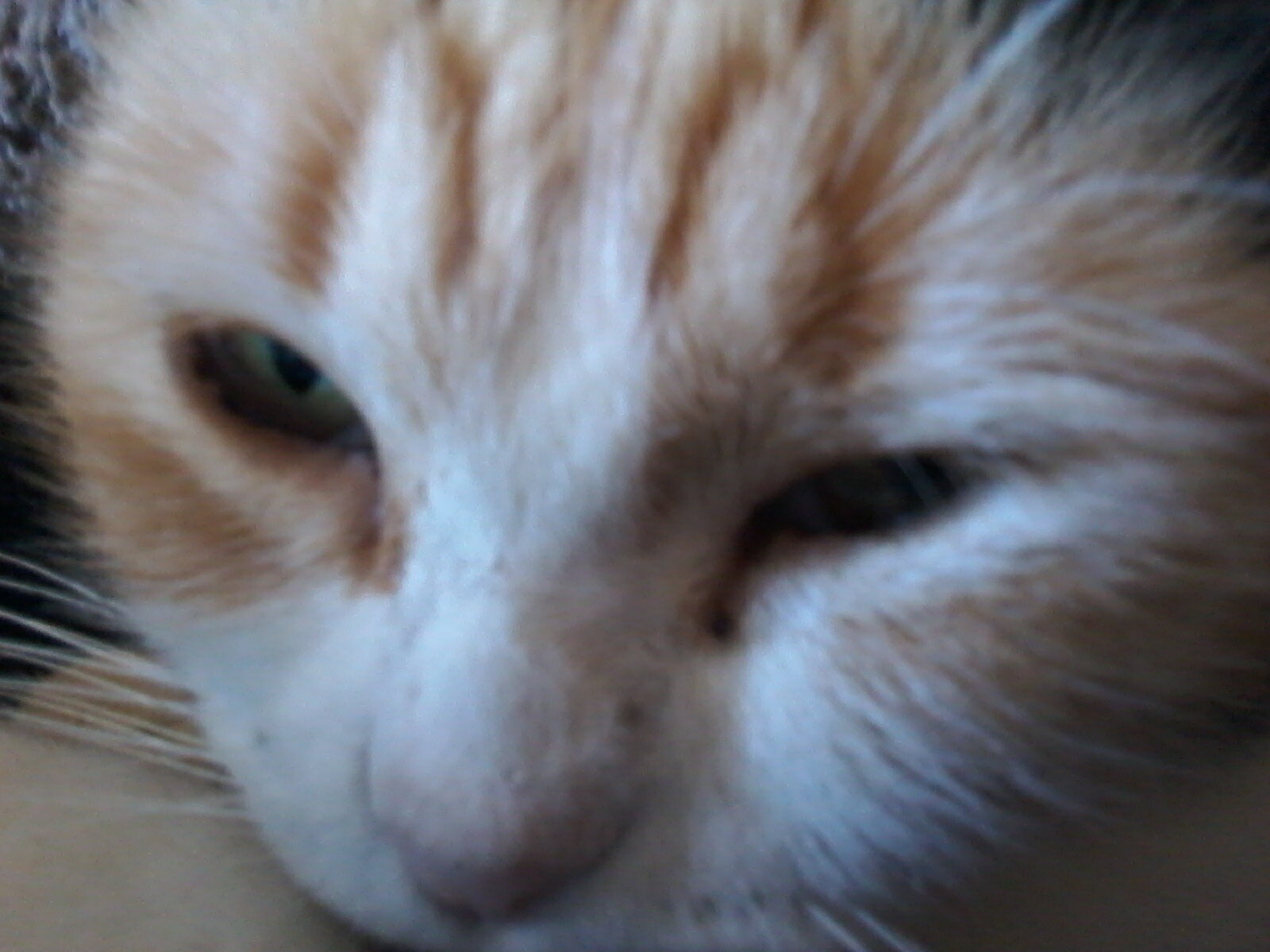 20201024_143214.jpg
