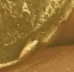 20201030_010537.jpg