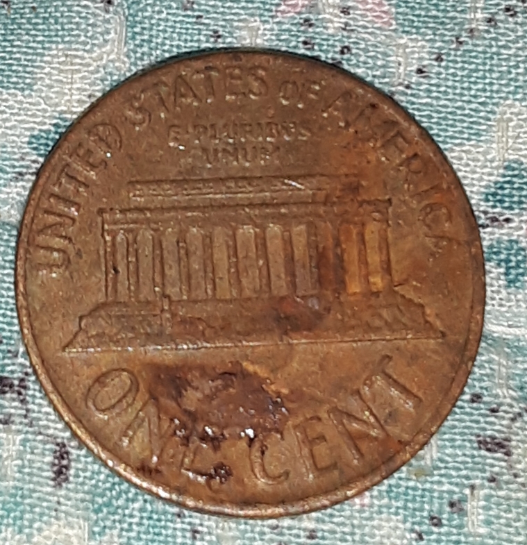20201101_014711.jpg