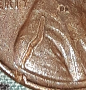 20201101_015137.jpg
