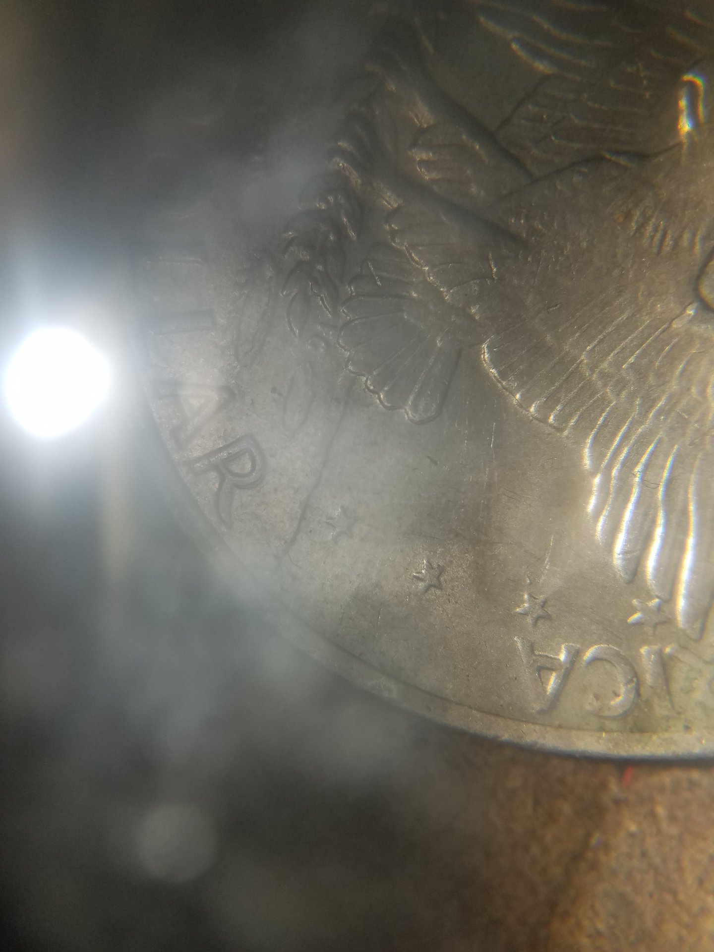 20201106_074221.jpg