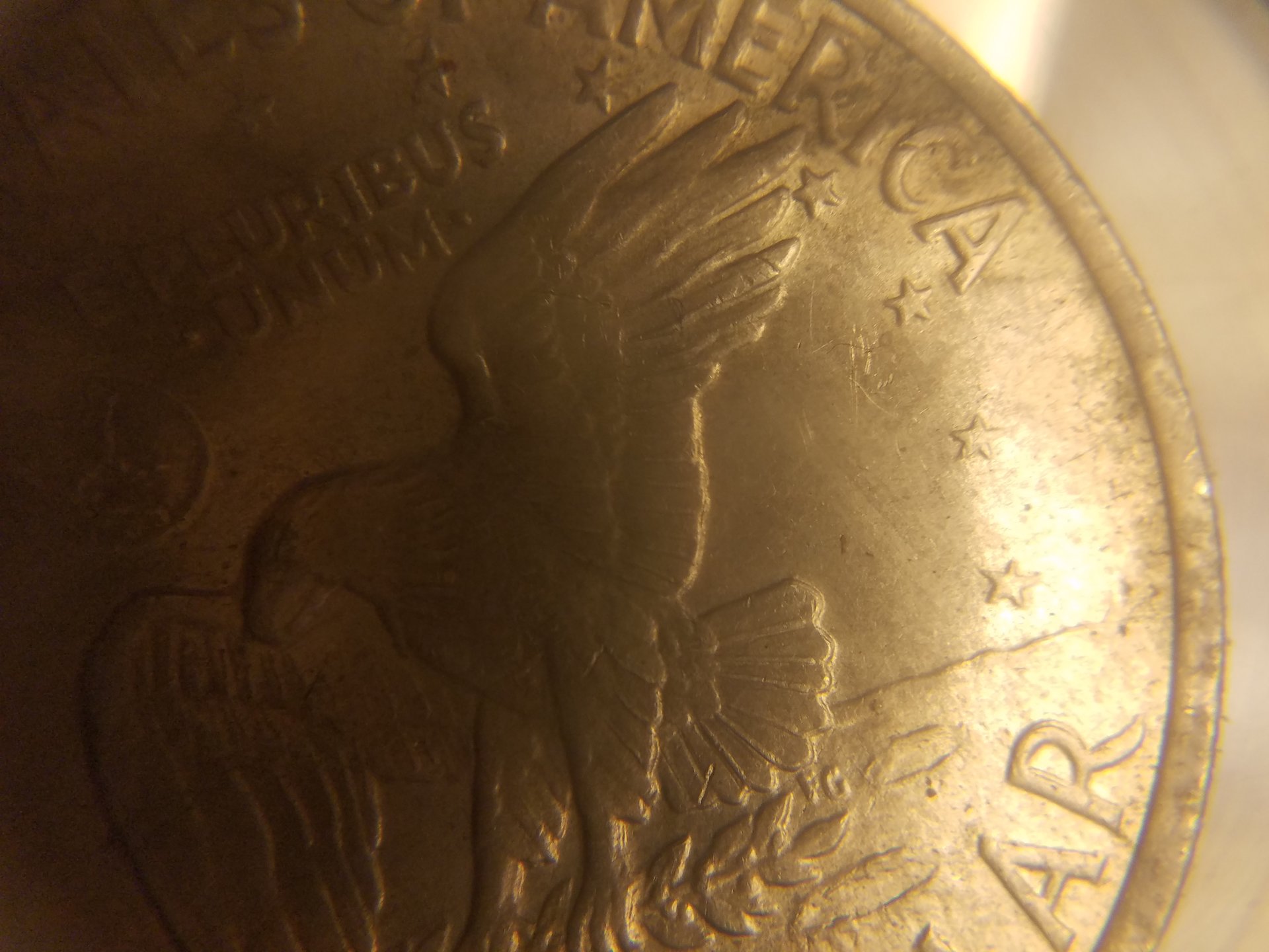 20201106_074752.jpg