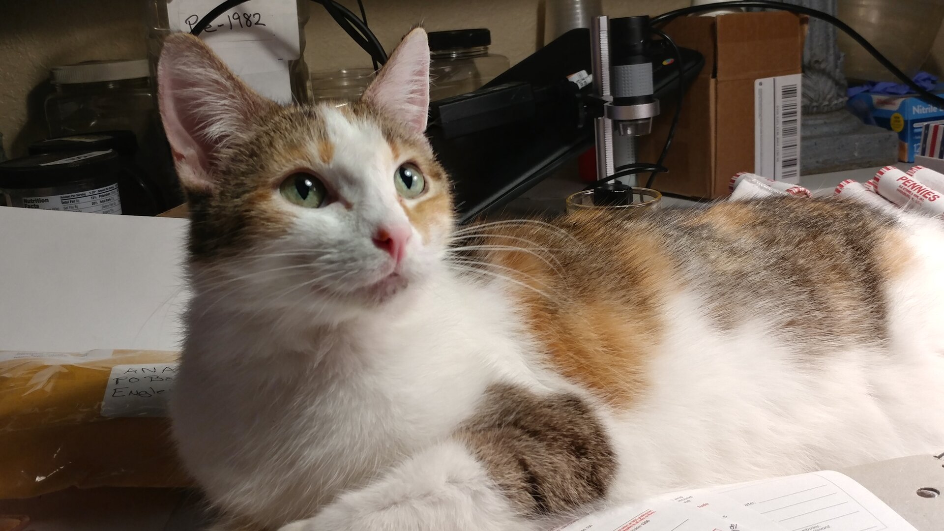 20201106_194340_HDR.jpg