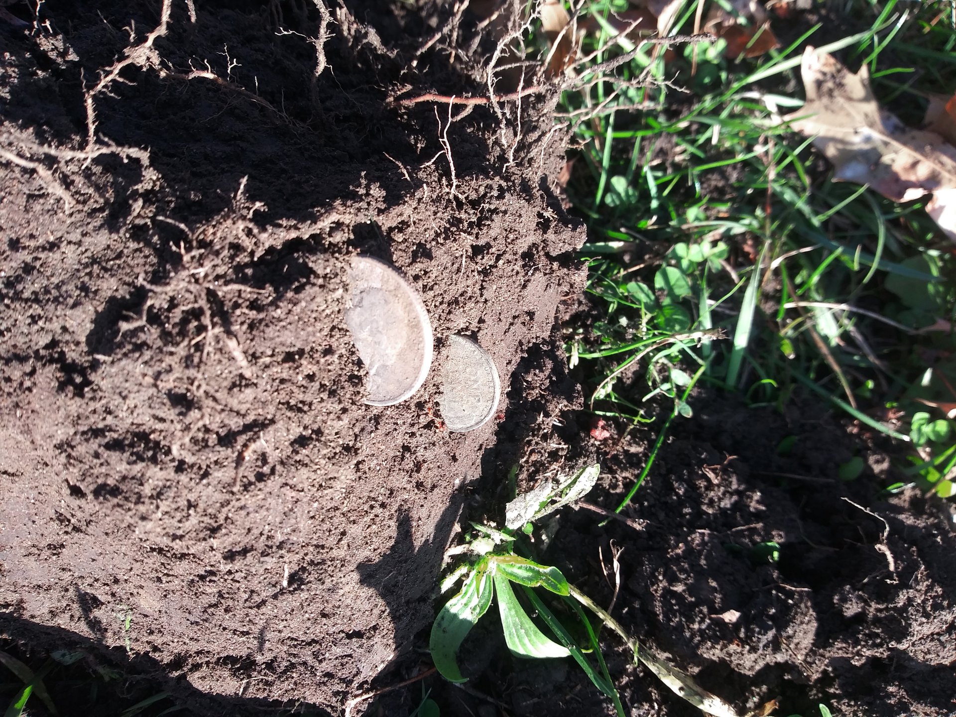 20201108_080030.jpg