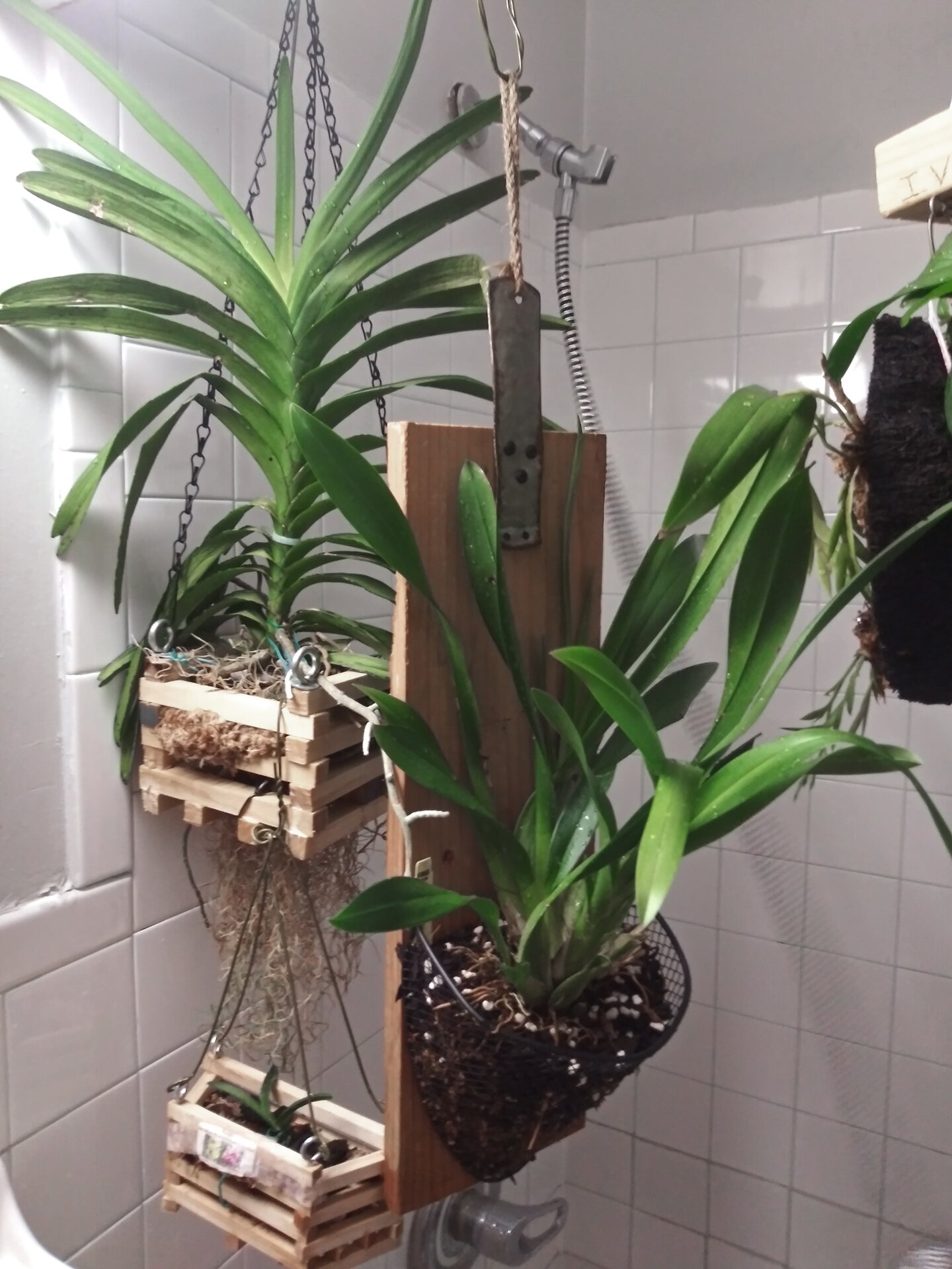 20201108_173048.jpg