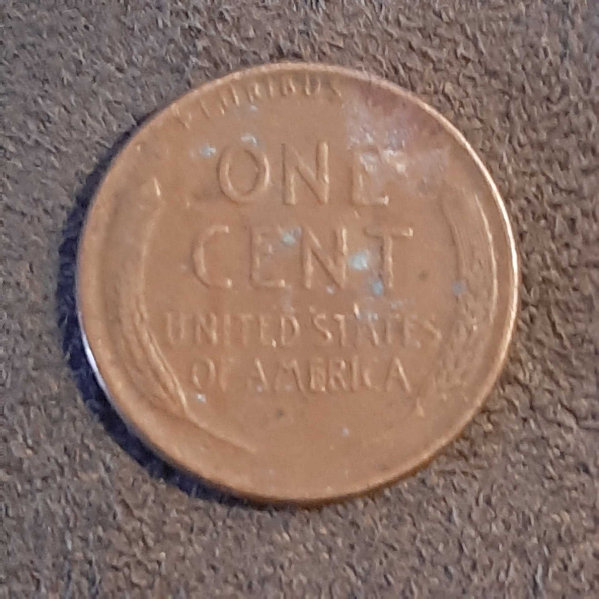 20201113_110523.jpg