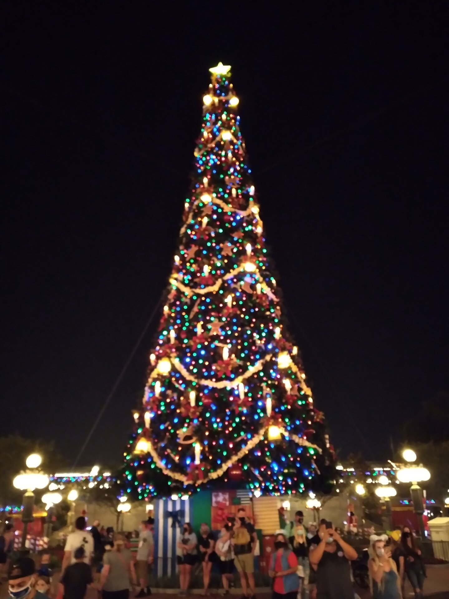 20201113_183333.jpg