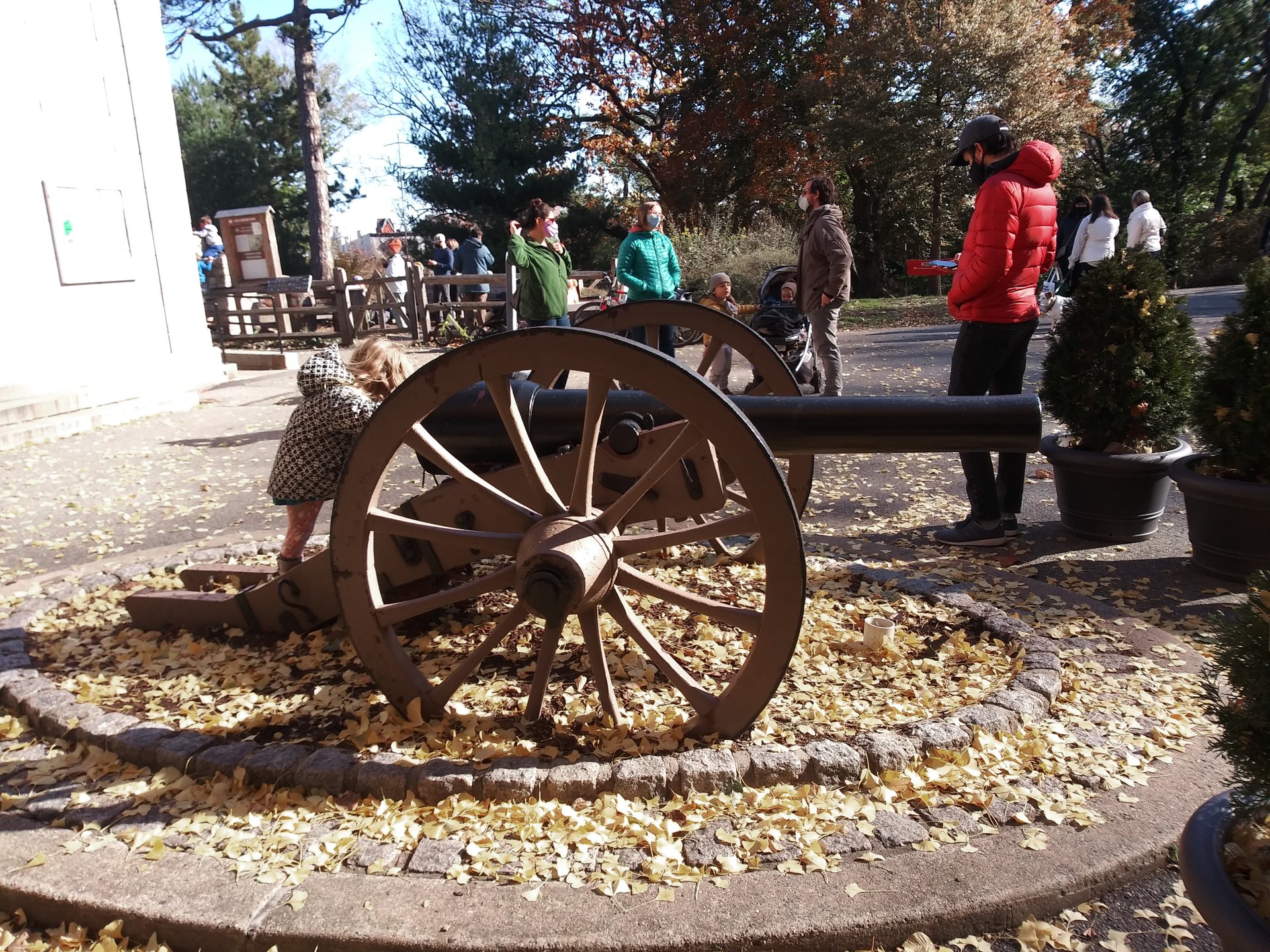 20201114_124453.jpg