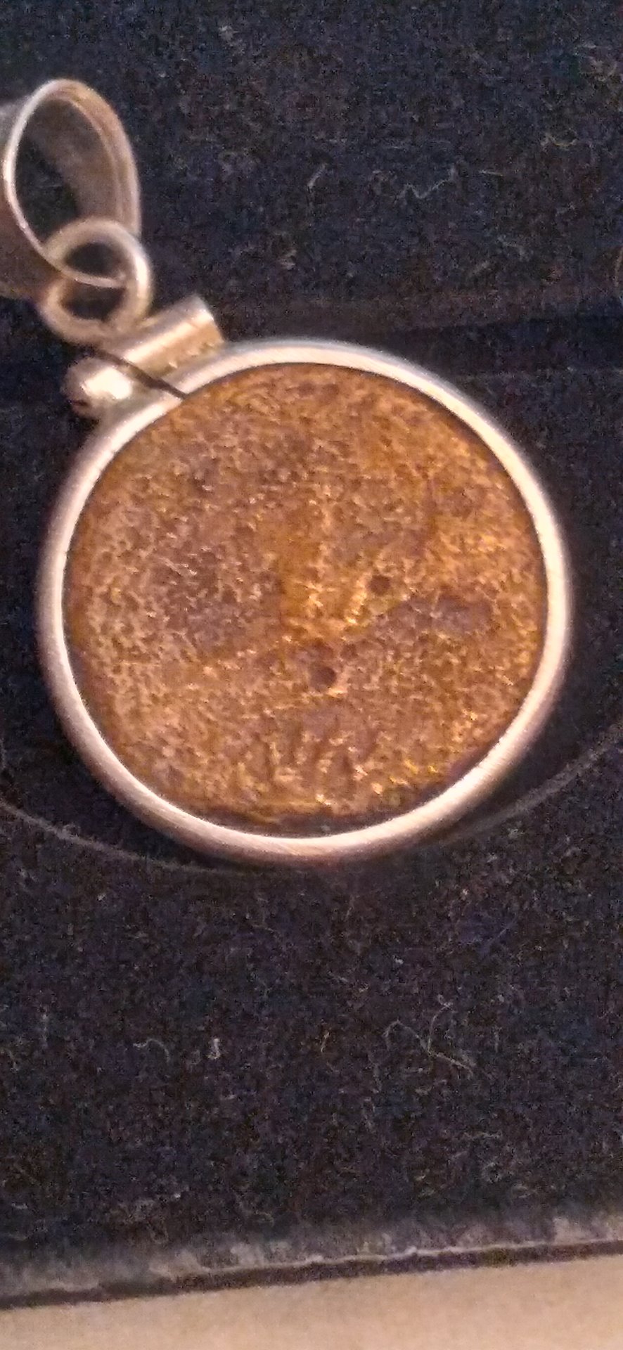 20201115_102839.jpg