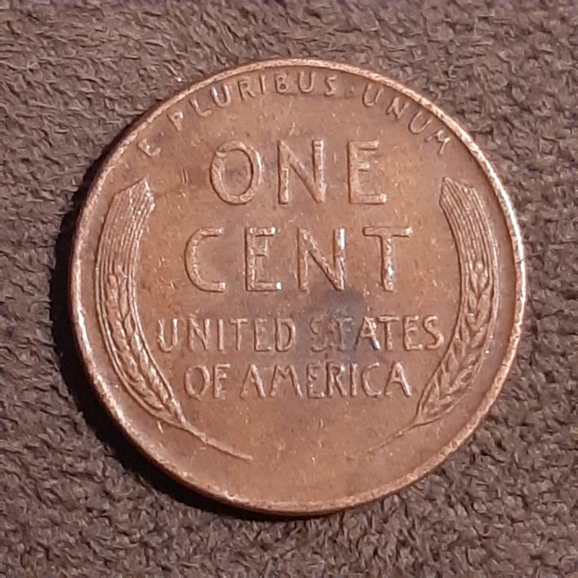 20201115_184025.jpg