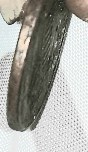 20201202_211045.jpg