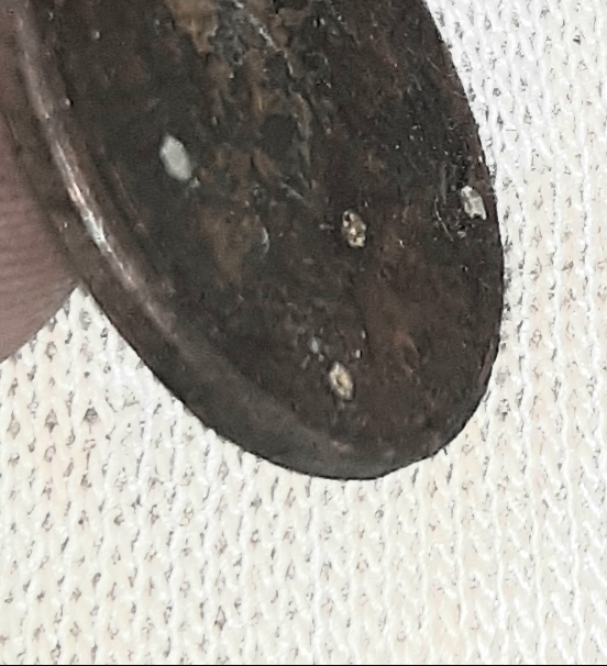 20201203_034155.jpg