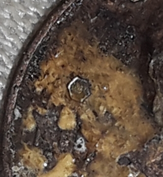 20201203_034353.jpg