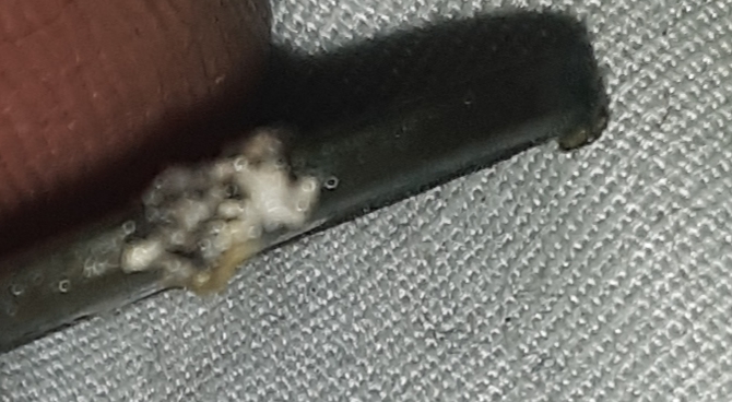 20201204_083107.jpg