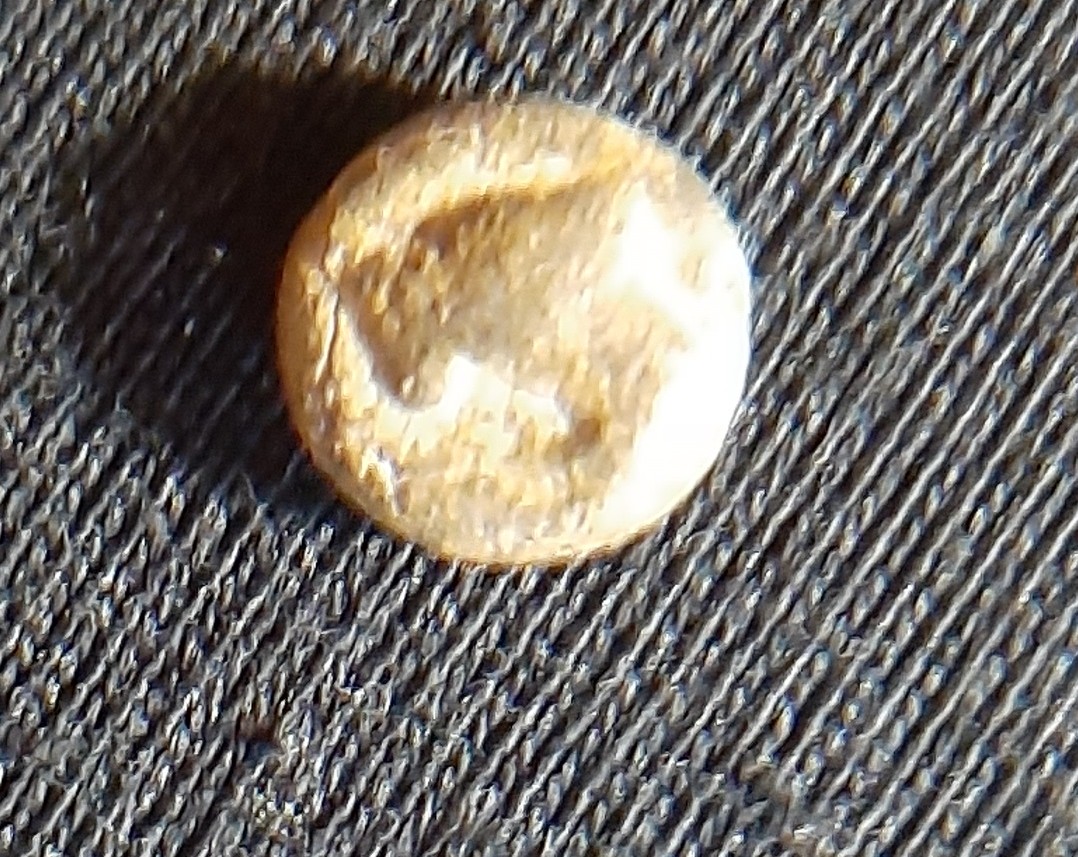 20201212_125538.jpg