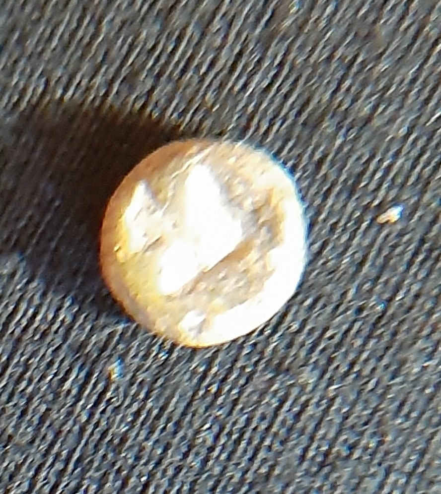 20201212_125633.jpg