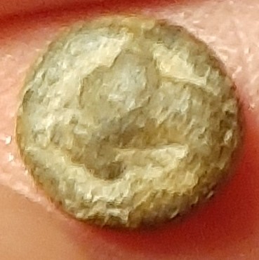 20201212_184819.jpg