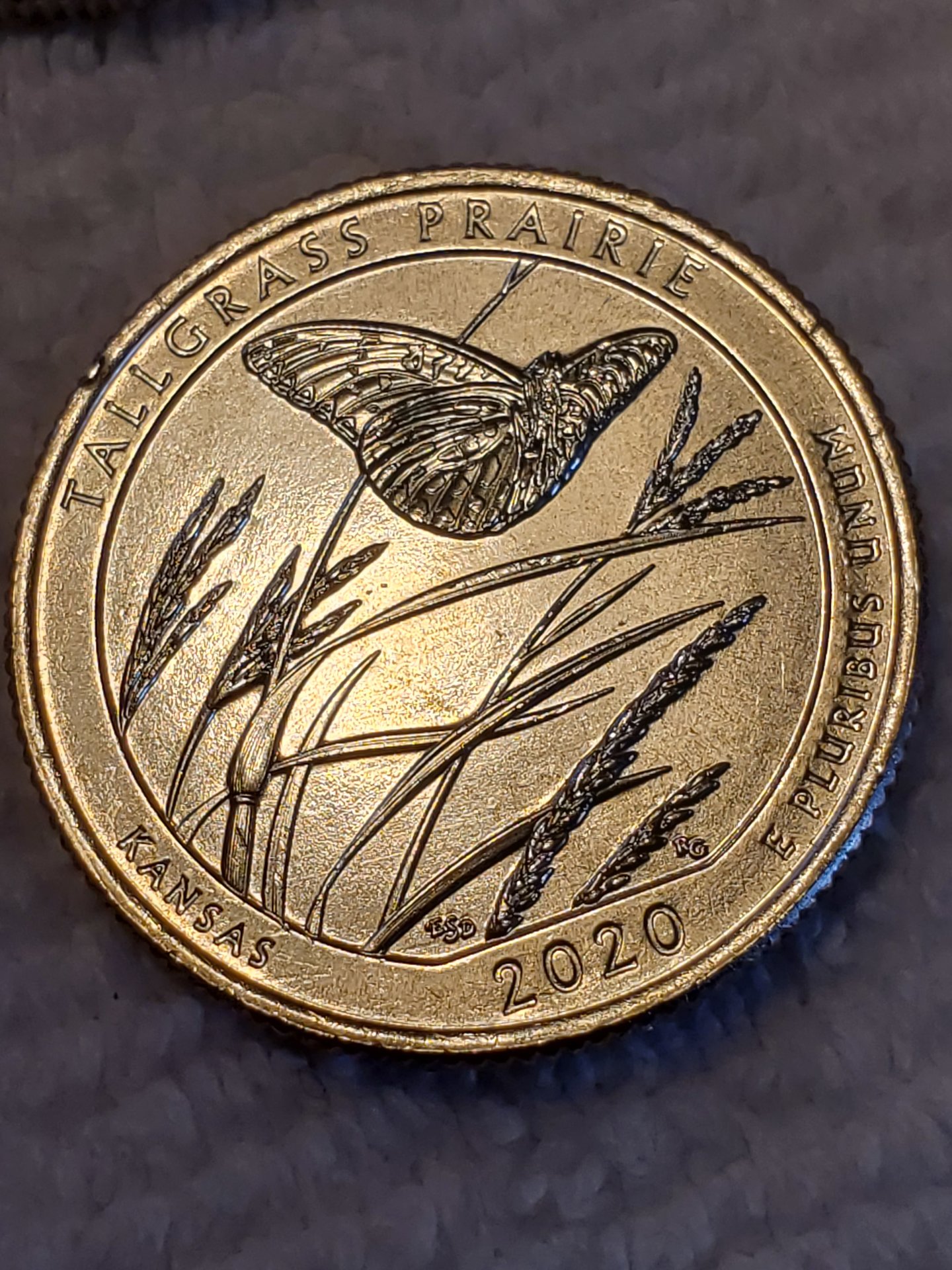 20201214_104419.jpg