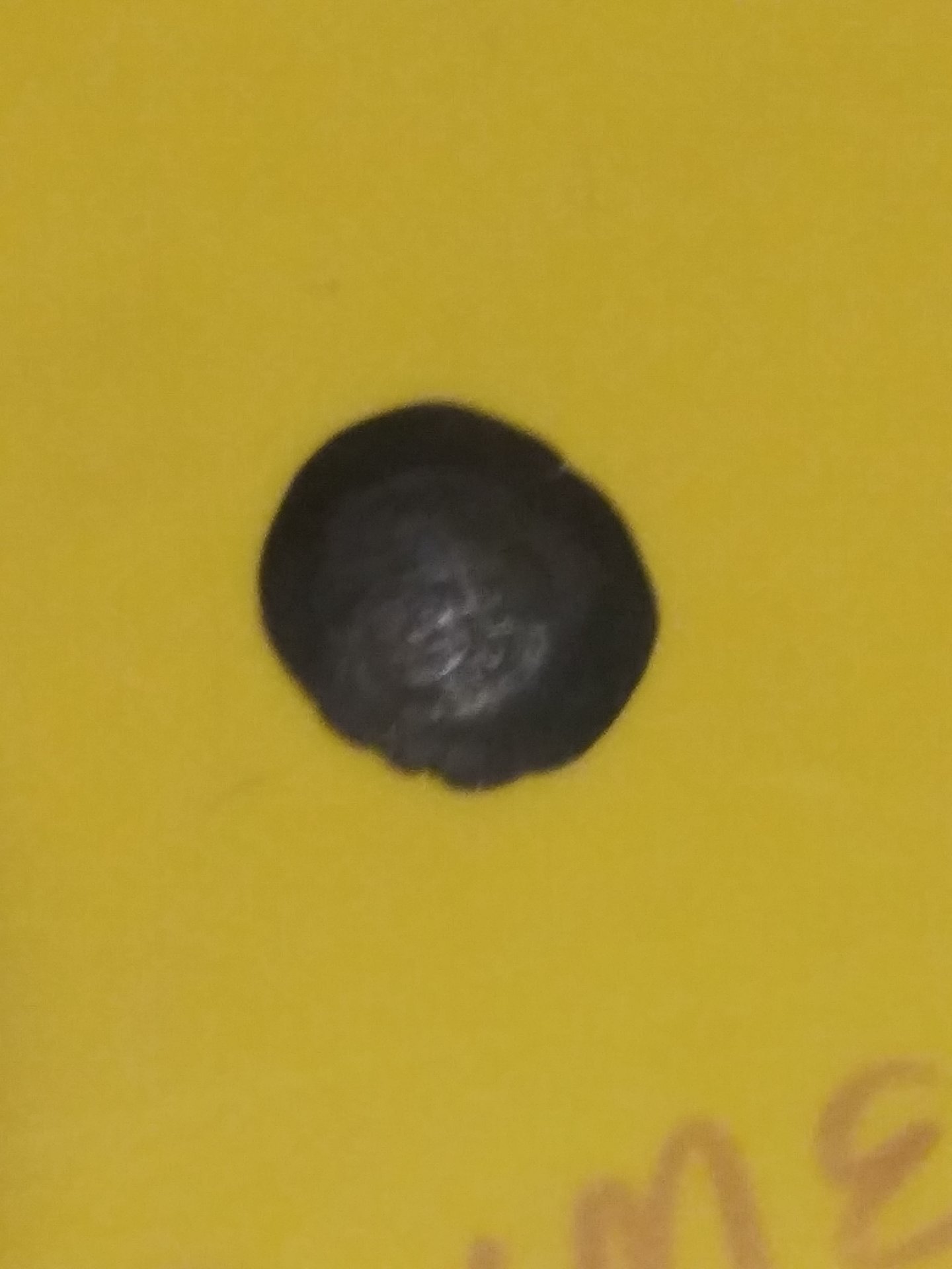 20201216_162958.jpg