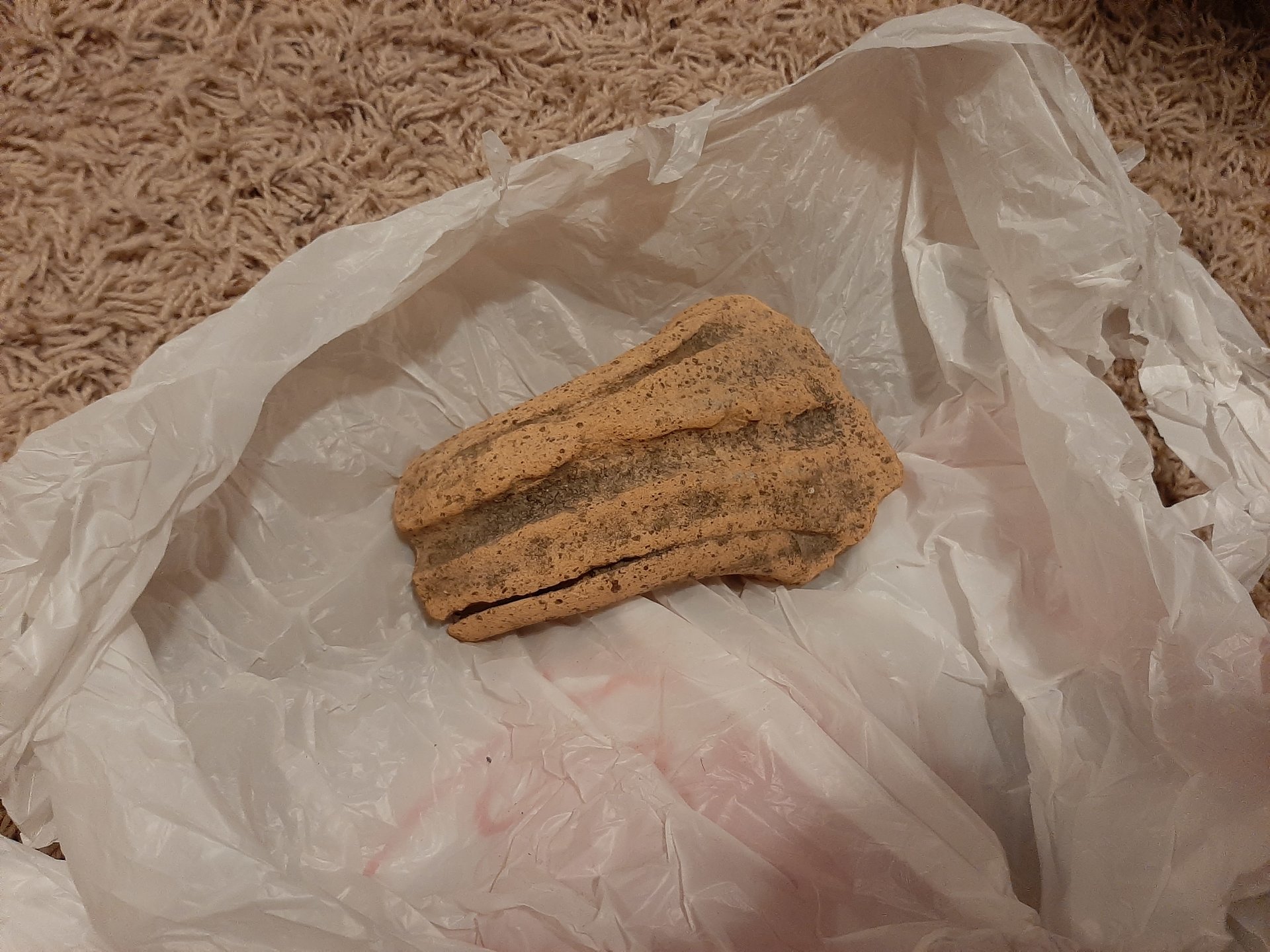 20201216_184854.jpg