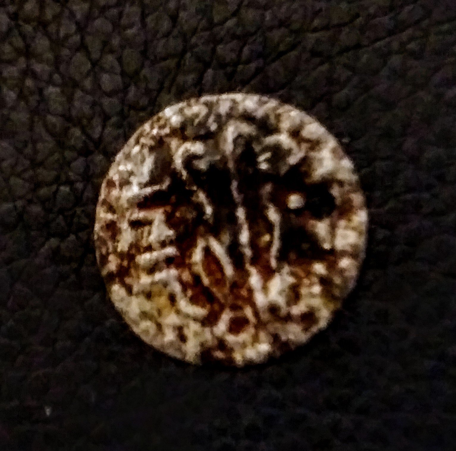 20201219_194821.jpg