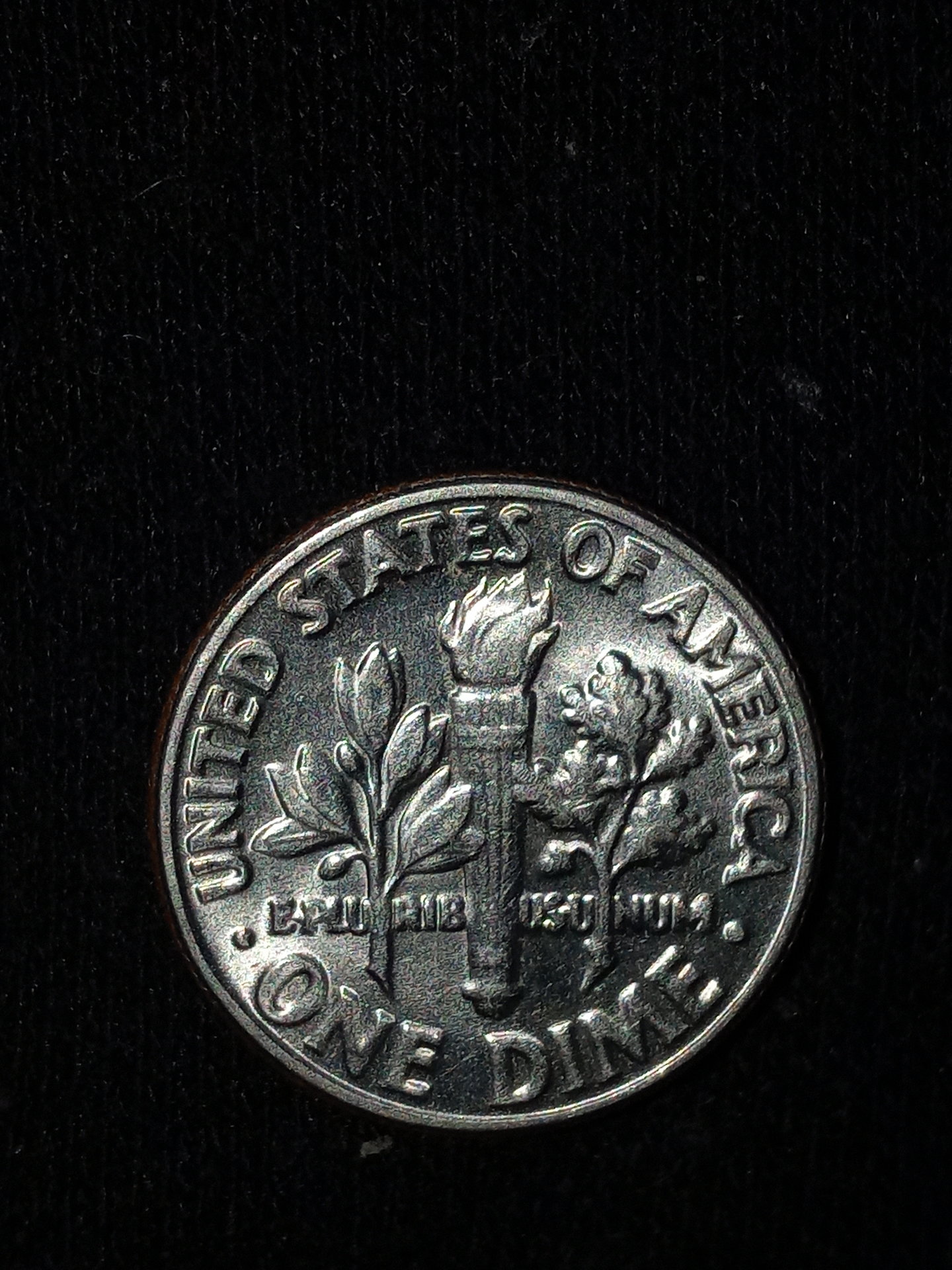 20201220_155621.jpg