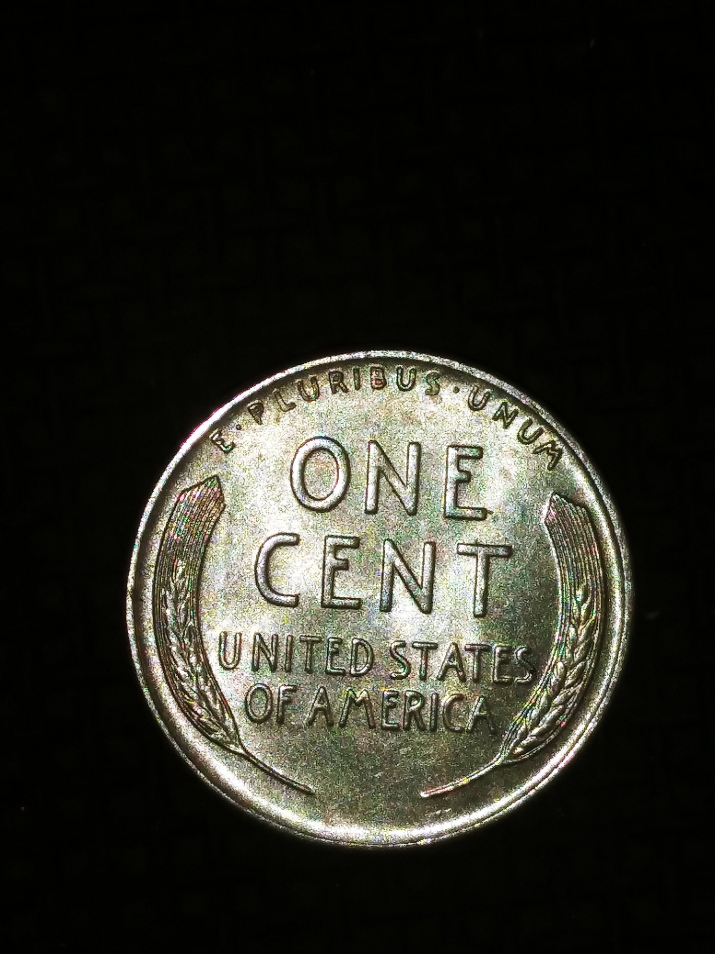 20201222_050744.jpg