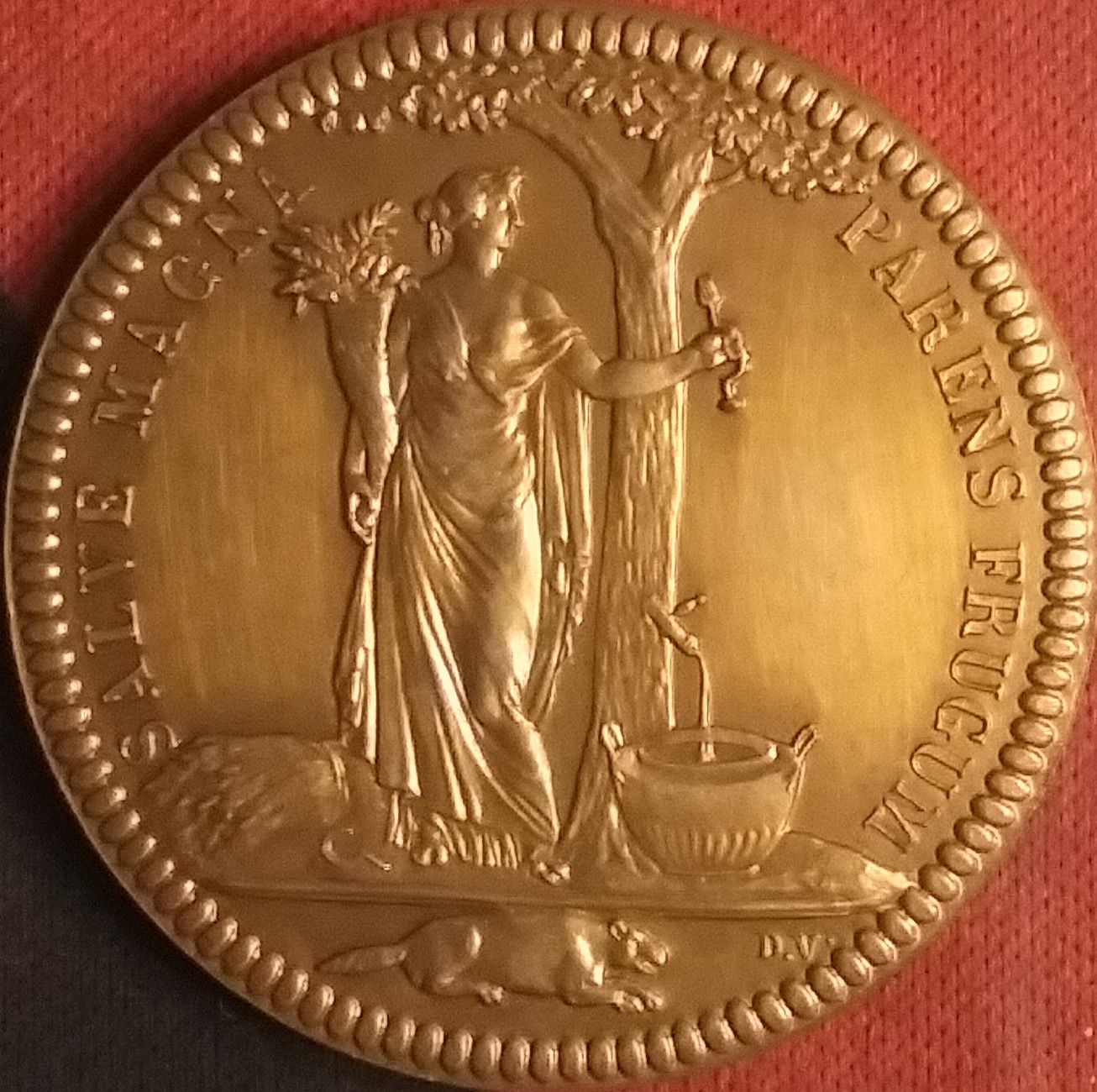 20201222_202425.jpg