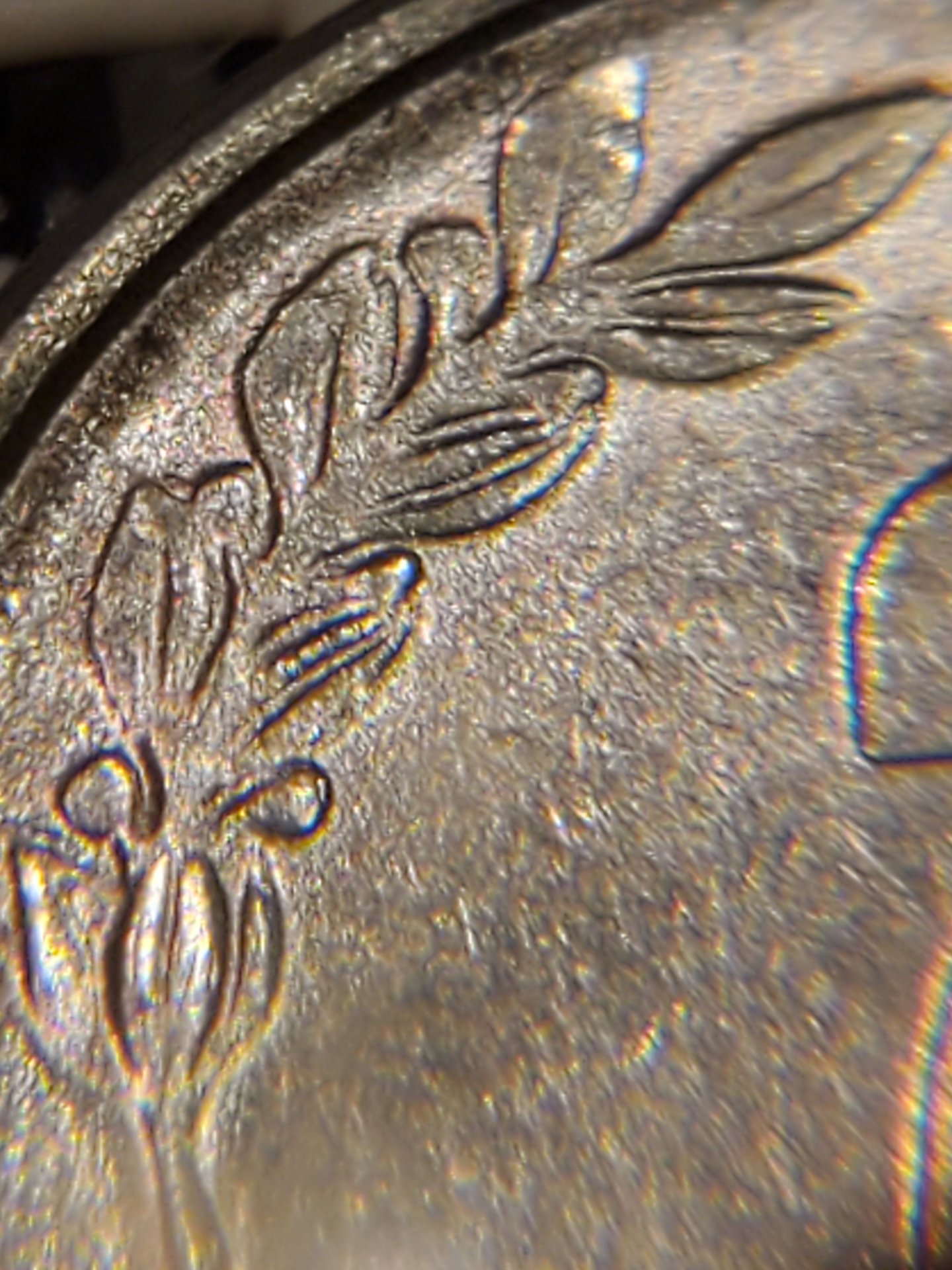20201228_220531.jpg
