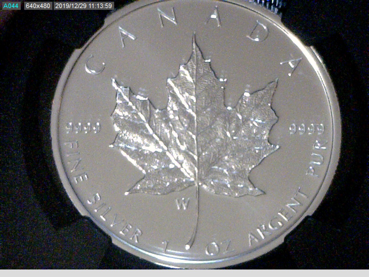 2020W Burnished Maple Leaf Rev.jpg