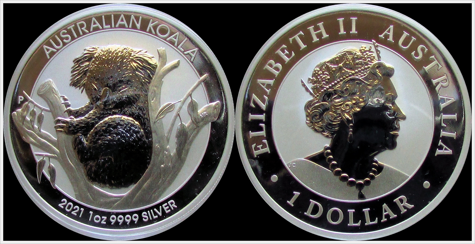 2021 Australia Koala.jpg