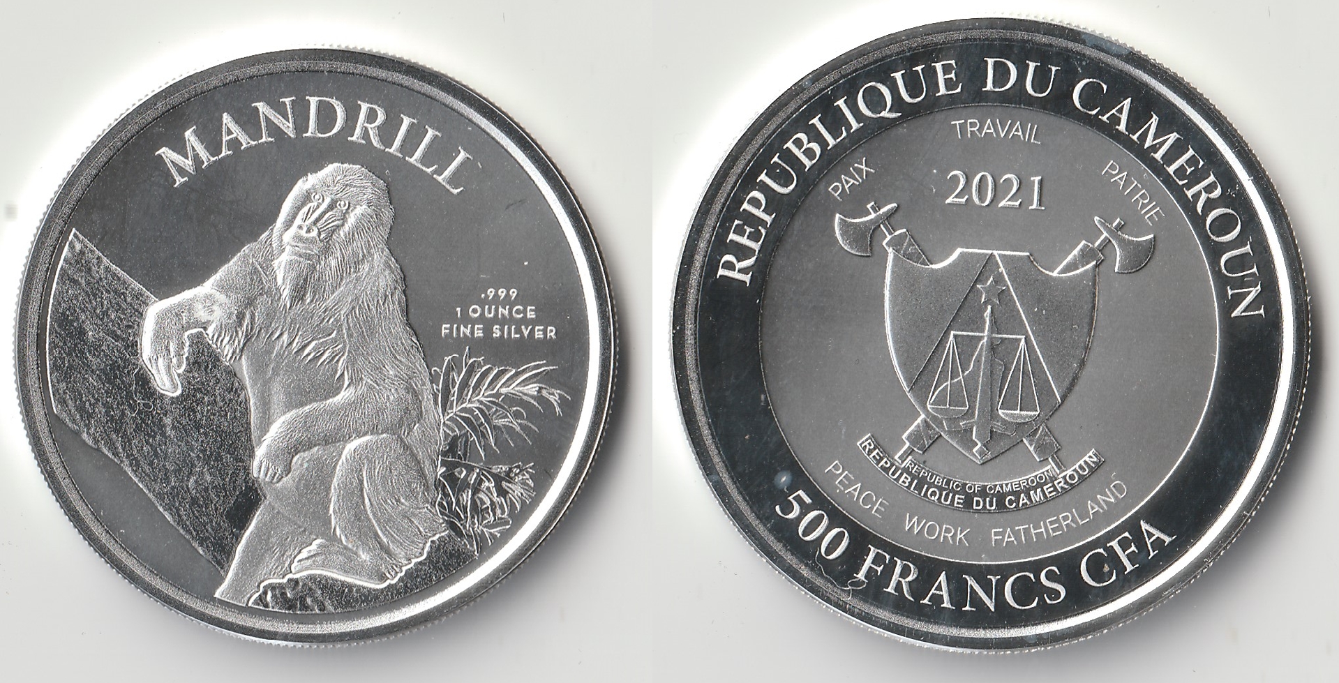 2021 cameroon 500 francs mandrill.jpg