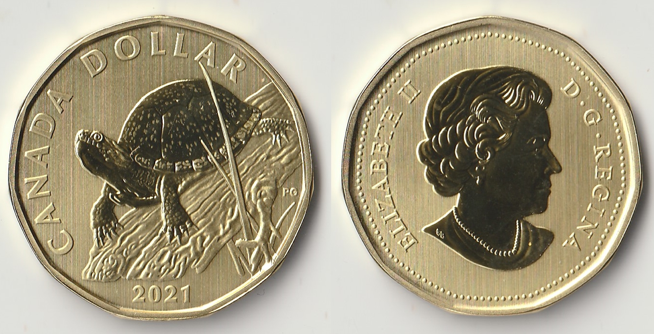 2021 canada 1 dollar.jpg