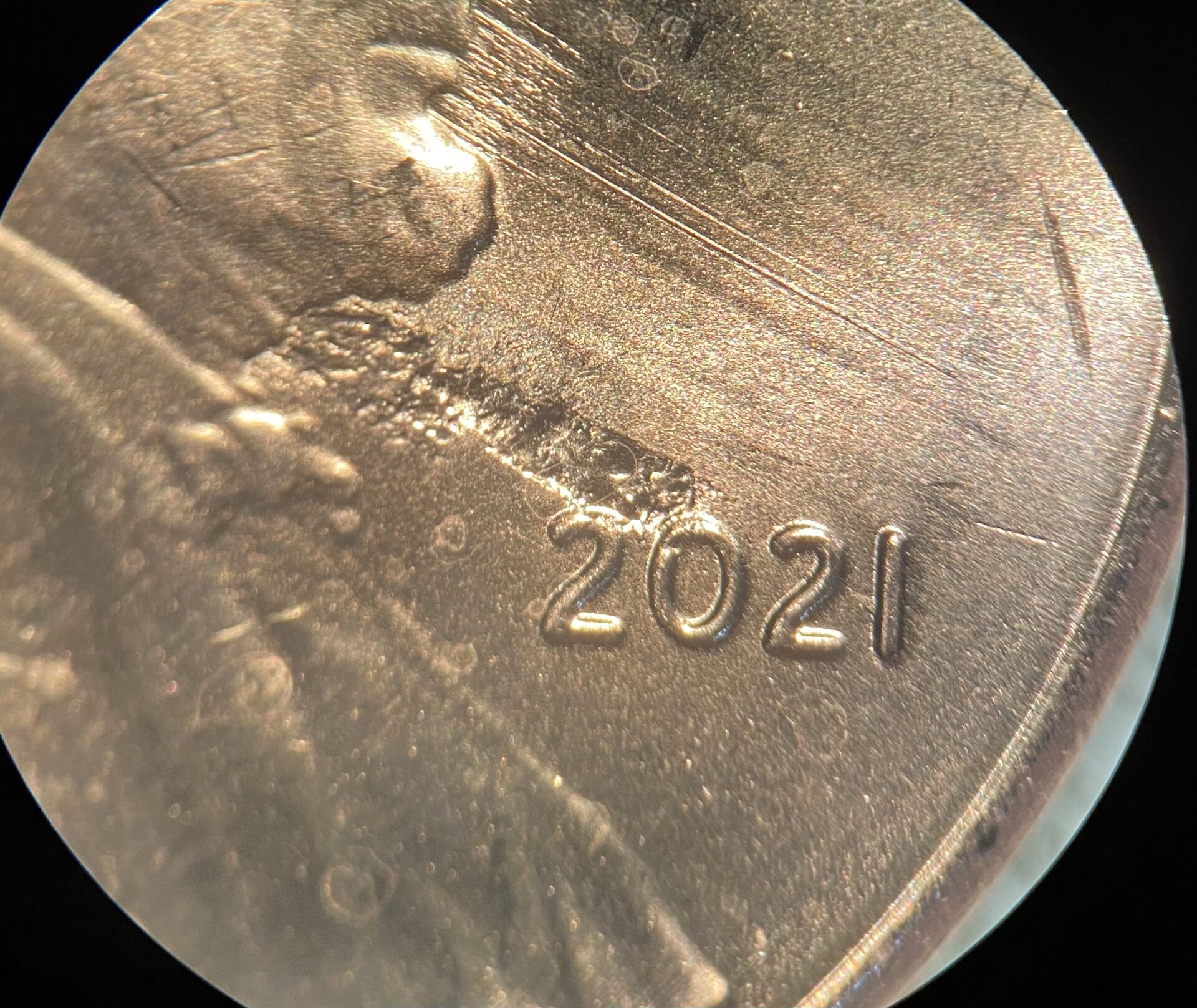 2021 Mid.jpg
