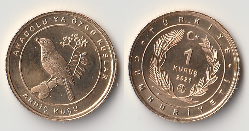 2021 turkey 1 kurus ardic.jpg
