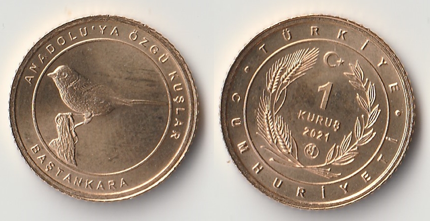 2021 turkey 1 kurus bastankara.jpg