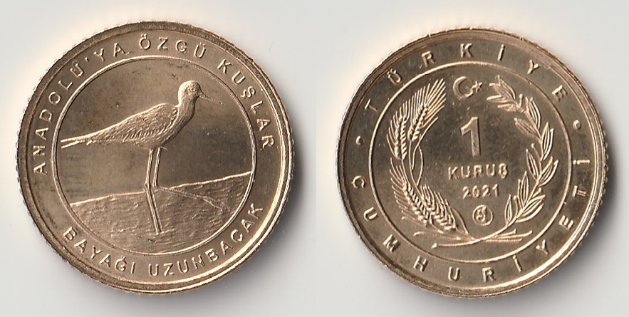 2021 turkey 1 kurus bayagi.jpg