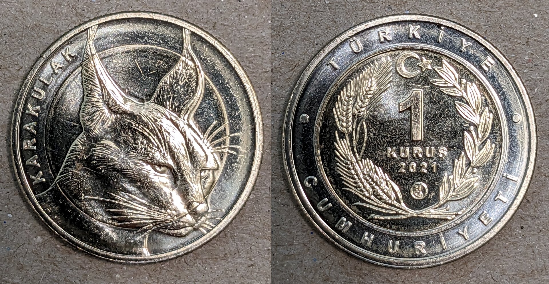 2021 turkey 1 kurus caracal.jpg