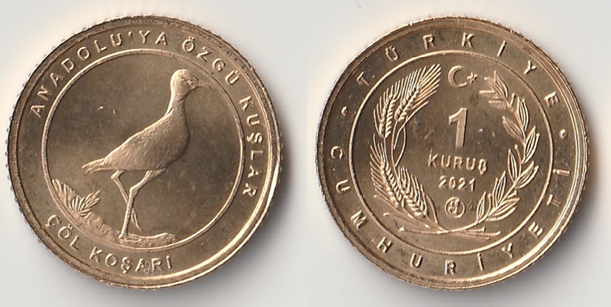 2021 turkey 1 kurus col.jpg