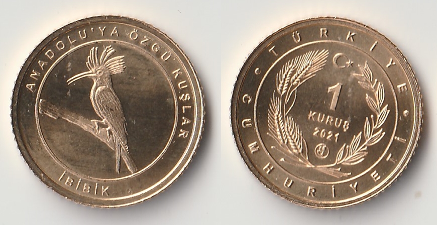 2021 turkey 1 kurus ibibik.jpg