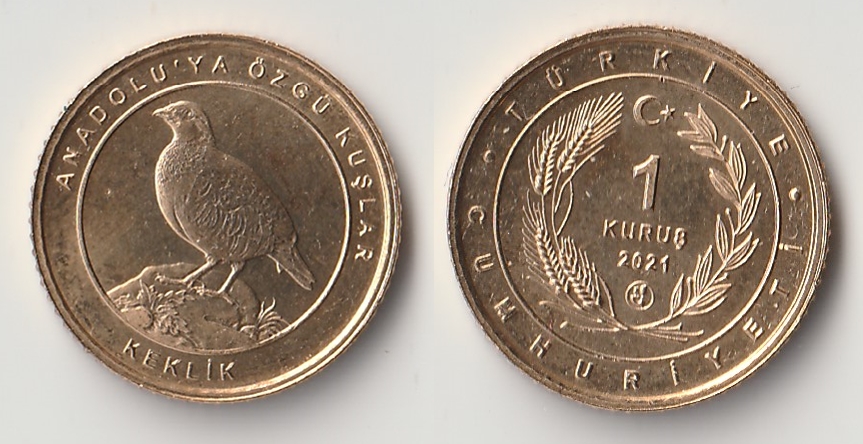2021 turkey 1 kurus keklik.jpg