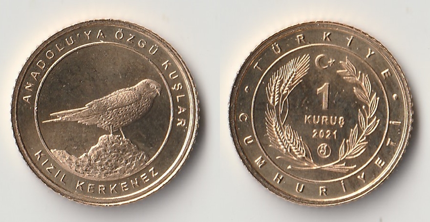 2021 turkey 1 kurus kizil.jpg