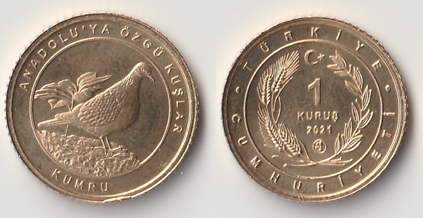 2021 turkey 1 kurus kumru.jpg